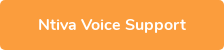 Ntiva Voice Support